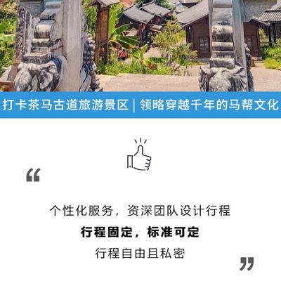 普洱茶马古道旅游景区一日游【含门票电瓶车索道演出+上门接送+睡醒出发+6人内团】线路推荐【携程玩乐】