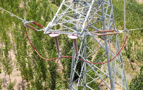 国网吴忠供电公司 以护代驱 打造黄河上游护鸟和谐版图