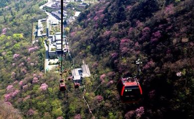 游客们注意啦!8日起,武当山索道暂停运营4天