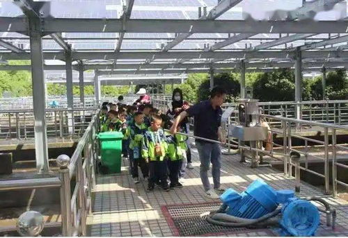 你,来助力 美丽中国,我是行动者