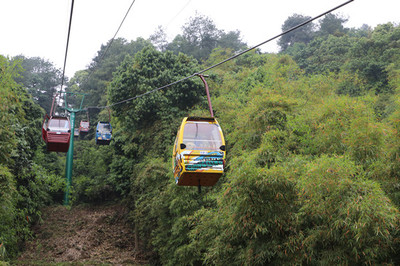 缙云山索道5月1日恢复运行 重庆元素涂鸦轿厢是亮点