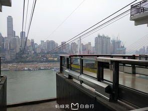 5天4晚清明重庆亲子游 解放碑 洪崖洞 千厮门大桥 大足石刻 李子坝轻轨 磁器口古镇 长江索道