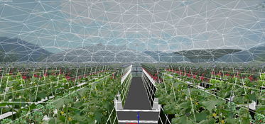 丽水青田县气雾培蔬菜工厂基地的设计与建造