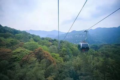 新建一条金顶索道!峨眉山将实现索道客货分离