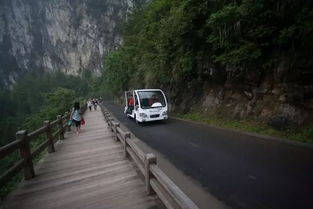 上下联动,助推三百山创国家5a级景区 最新施工进展及效果图,你想要的都在这