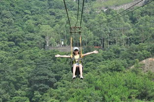 炎炎夏日,恒温22度的东莞观音山清凉舒适