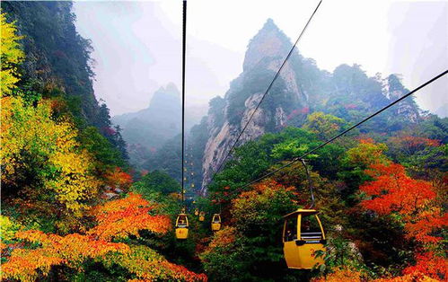呼南高铁经过平顶山,豫西通道还有必要争吗 鲁山人民 有必要