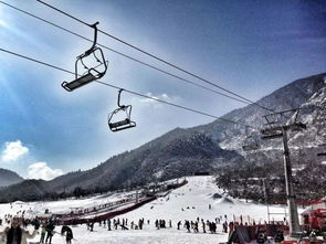 10月起,成都将全面开挂