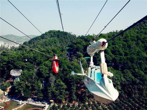 体验低空游览 感受别样风光