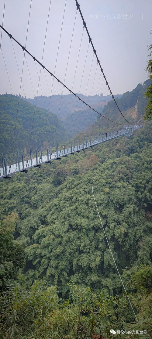 从竹海到雪浪,和孩子们穿越冬季