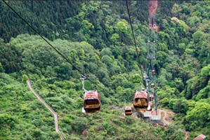 北起院两项索道项目通过验收