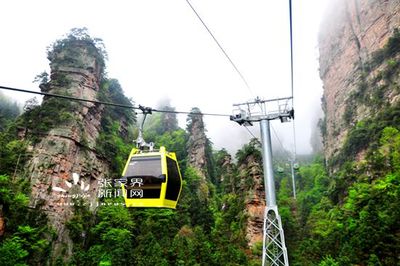 张家界悬赏百万，邀您共筑“世上最美的小路”