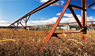 美国钢材集散厂园区景观设计 索道系统的创新整合