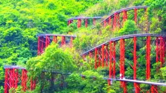 灵巫洞景区交通升级 空中索道与旱地雪橇联动设计新蓝图